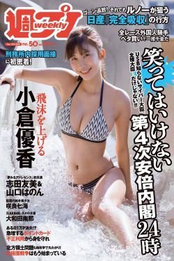 亲爱的翻译官演员表